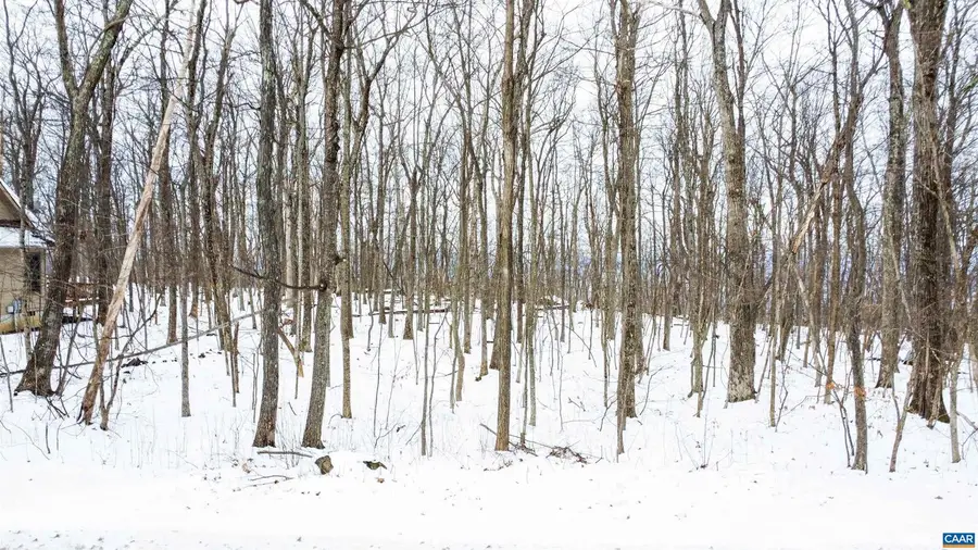 1331 Laurel Springs Rd #7, Wintergreen Resort, VA 22967 - #3