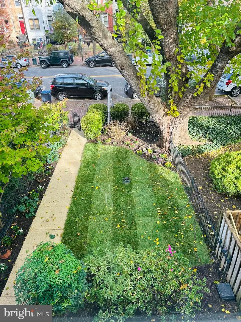 1019 South Carolina Ave Se, Washington, DC 20003 - Image #2