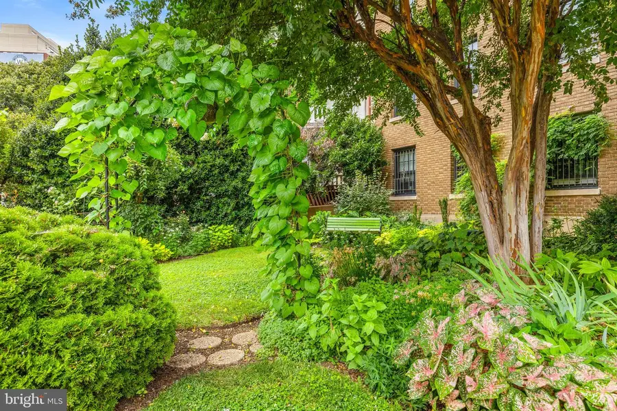 1101 L St Nw #102, Washington, DC 20005 - Image #3