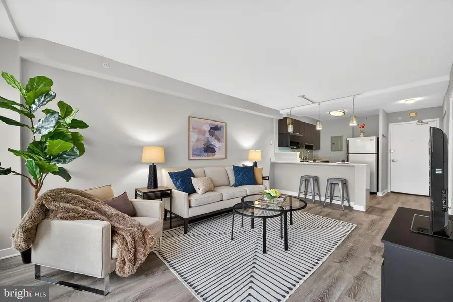 1101 3rd St Sw #503, Washington, DC 20024 - Image #3