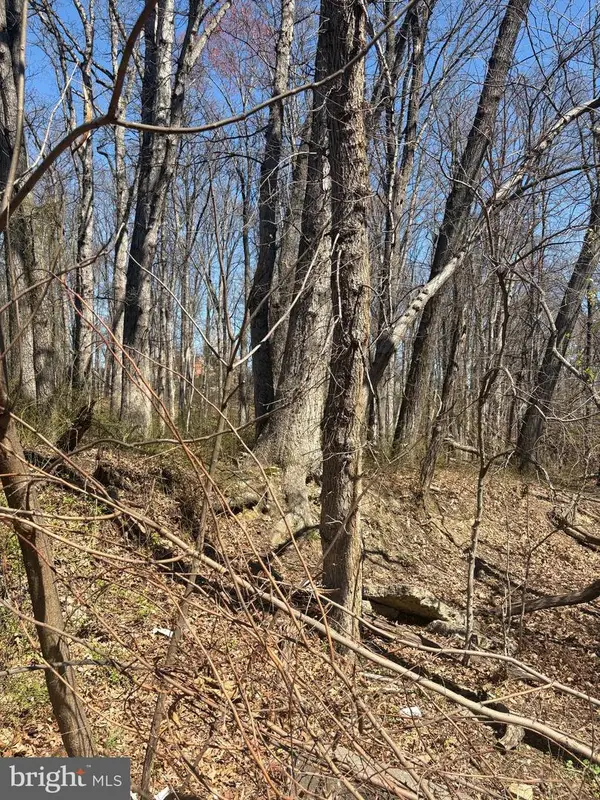 Gainesville St Se, WASHINGTON, DC 20020