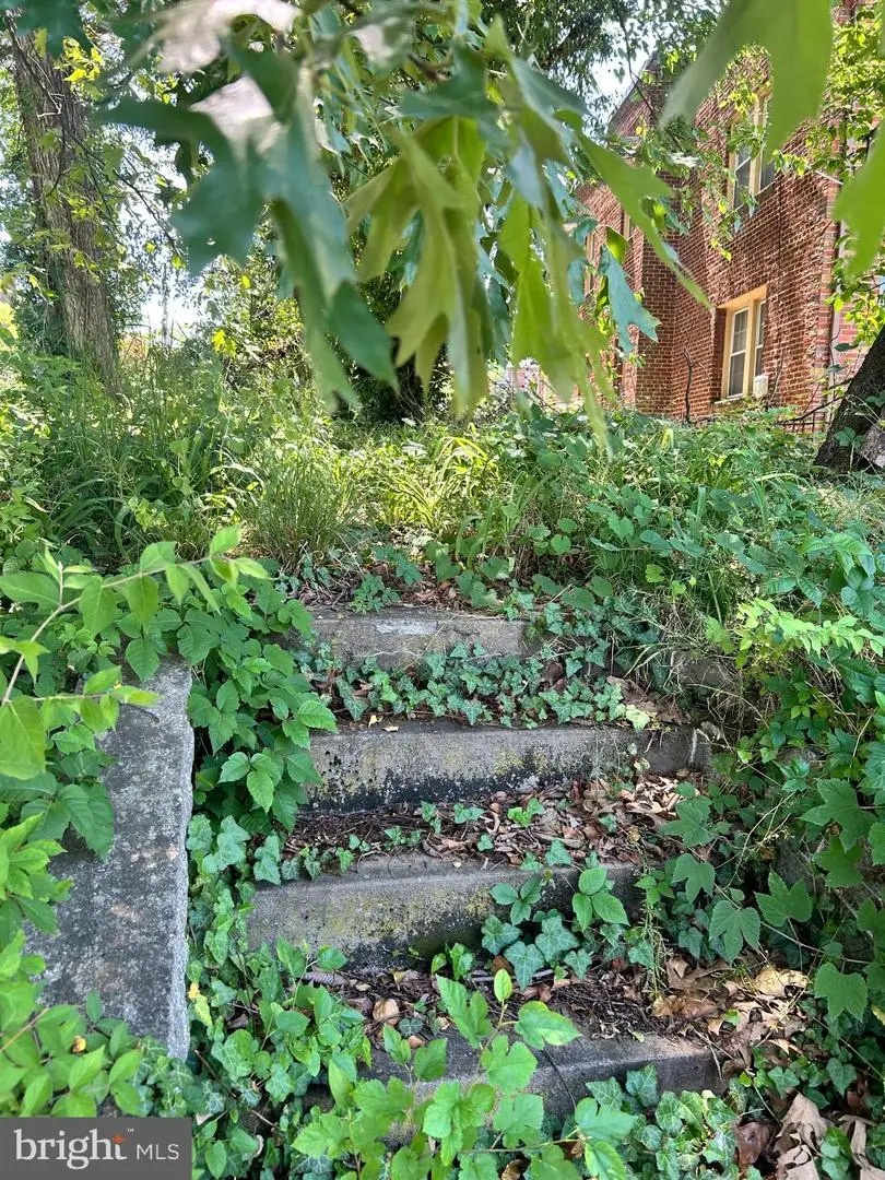 Randle Cir Se, Washington, DC 20019 - #2