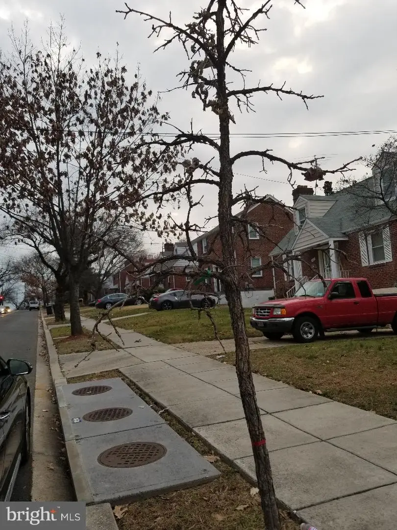157 Chesapeake St Sw, Washington, DC 20032 - #3