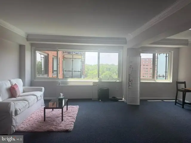 4201 Cathedral Ave Nw #1022e, Washington, DC 20016 - #3