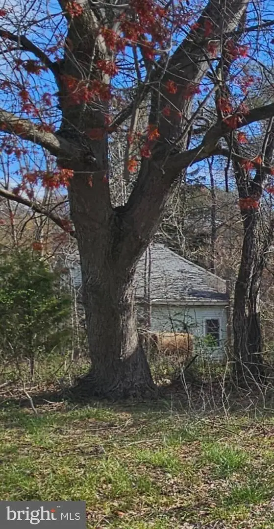 9335 S Dupont Hwy, Felton, DE 19943 - Image #3