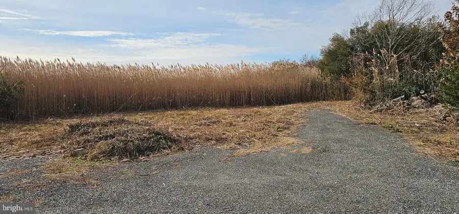 2806 Kitts Hummock Rd, Dover, DE 19901 - Image #3