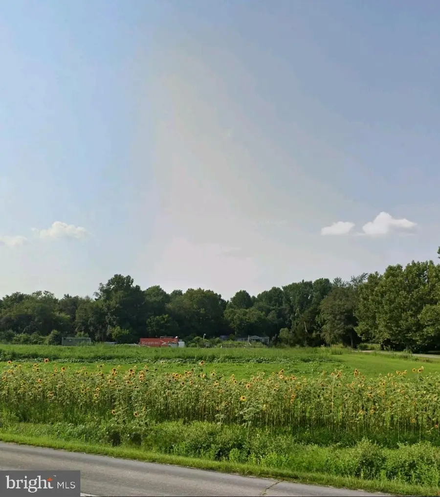 4166 Forrest Ave, Dover, DE 19904 - Image #3