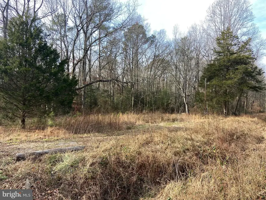 727 Westville Rd, Marydel, DE 19964 - Image #2