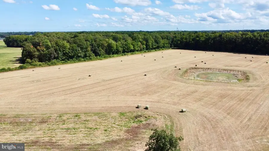 Hopkins Cemetery Rd - Lot 3, Harrington, DE 19952 - Image #3