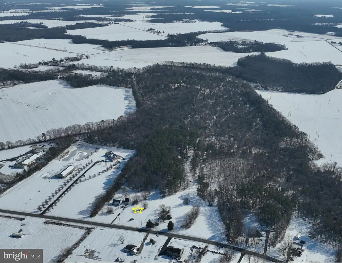 Lot 1 Williamsville Rd, Houston, DE 19954 - #1