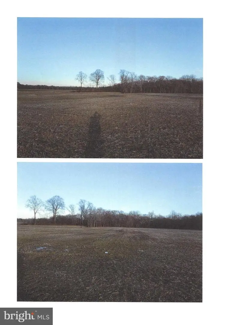 1389 Cedar Grove Church Rd, Felton, DE 19943 - #3