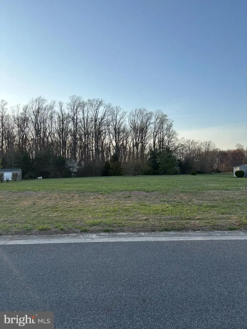 178 Haley Dr, Felton, DE 19943 - #3