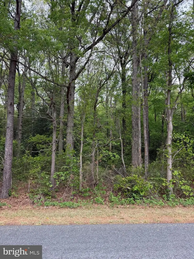 Lot 3 Hunting Quarter Rd, Houston, DE 19954 - #1