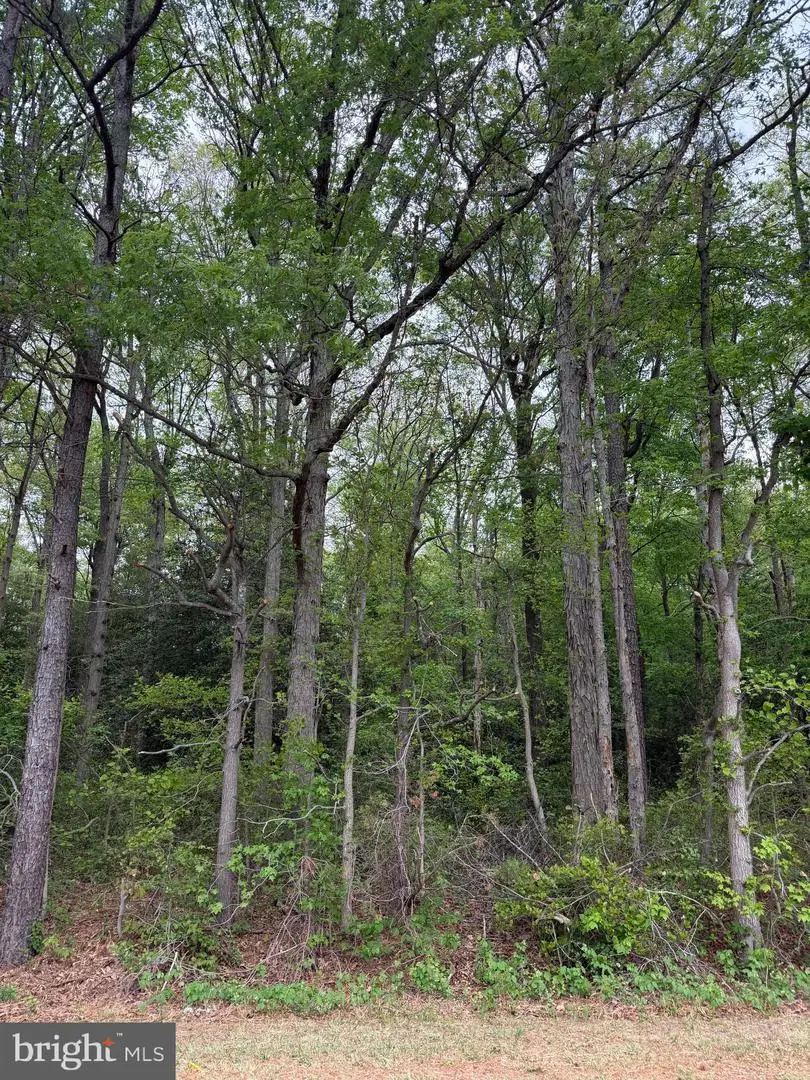 Lot 3 Hunting Quarter Rd, Houston, DE 19954 - #2