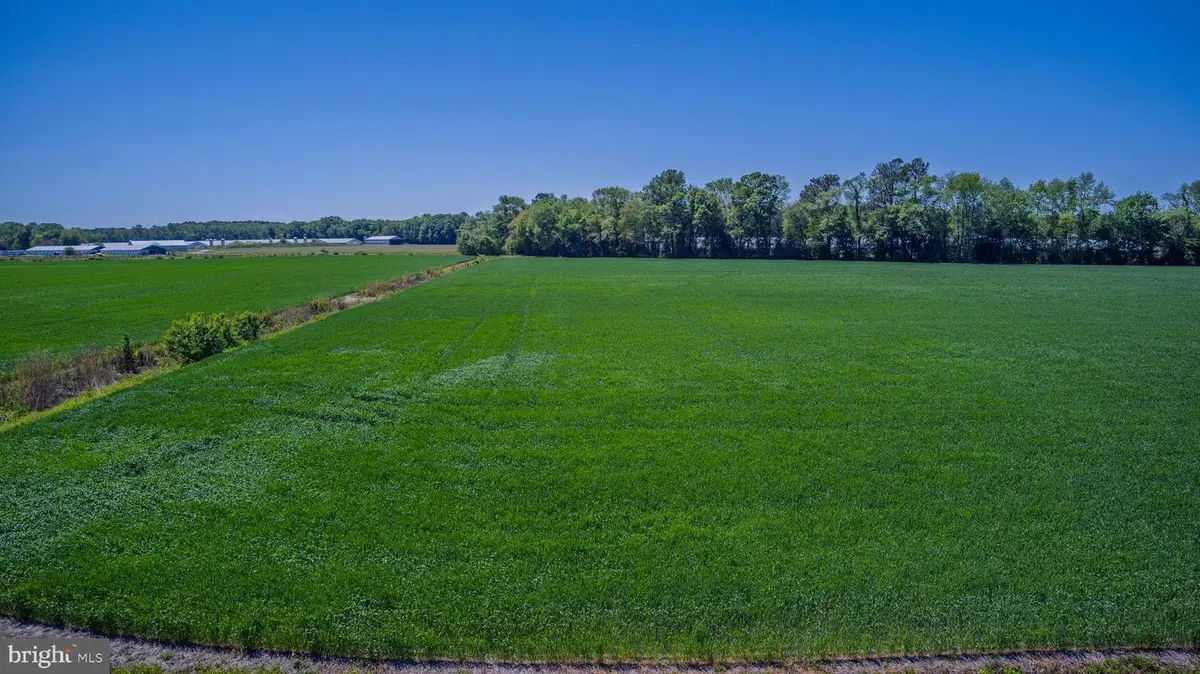 Lot #13 Tower Rd, Camden Wyoming, DE 19934 - #1
