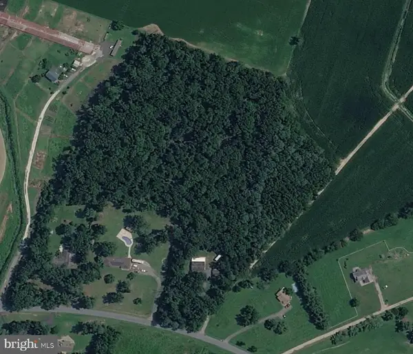 Vacant Lot 6.1 Acres Prospect Church Rd, HARRINGTON, DE 19952