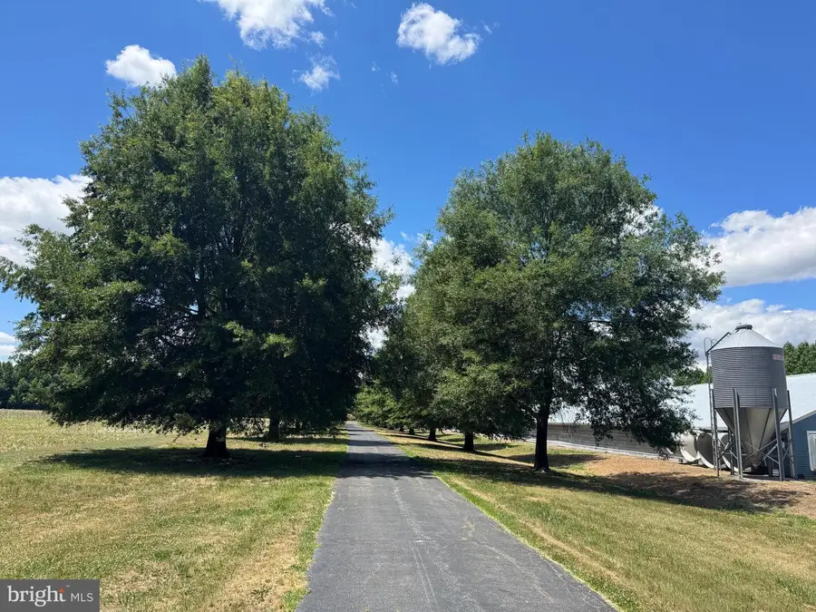 953 White Marsh Branch Ln, Harrington, DE 19952 - #2