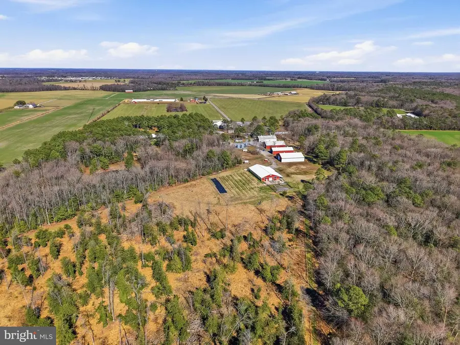 89 Hunting Quarter Rd, Greenwood, DE 19950 - #3