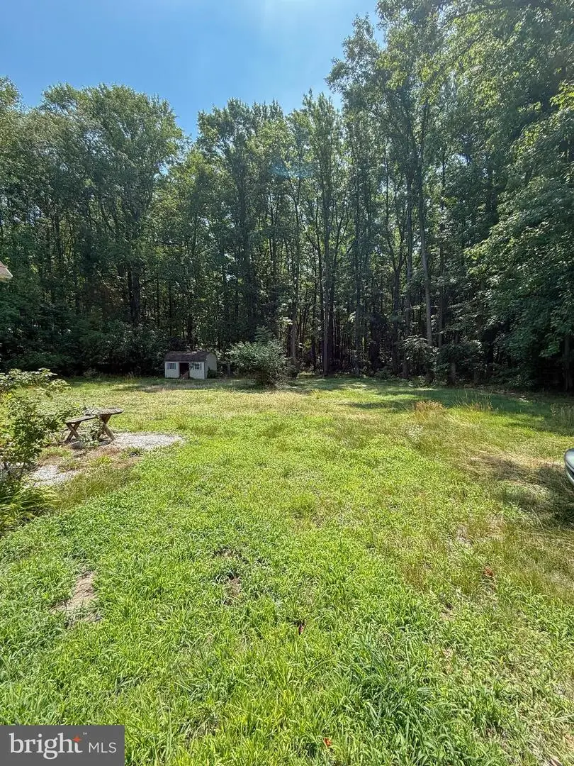 688 Carpenter Bridge Rd, Harrington, DE 19952 - #3
