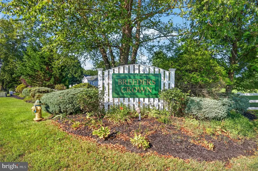 113 Foal Ct, Harrington, DE 19952 - #3