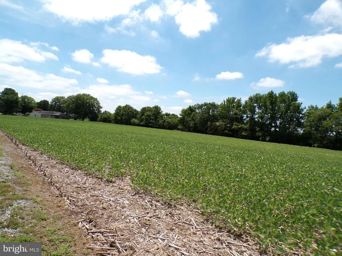Lot 2 Nine Foot Rd, Greenwood, DE 19950 - #1