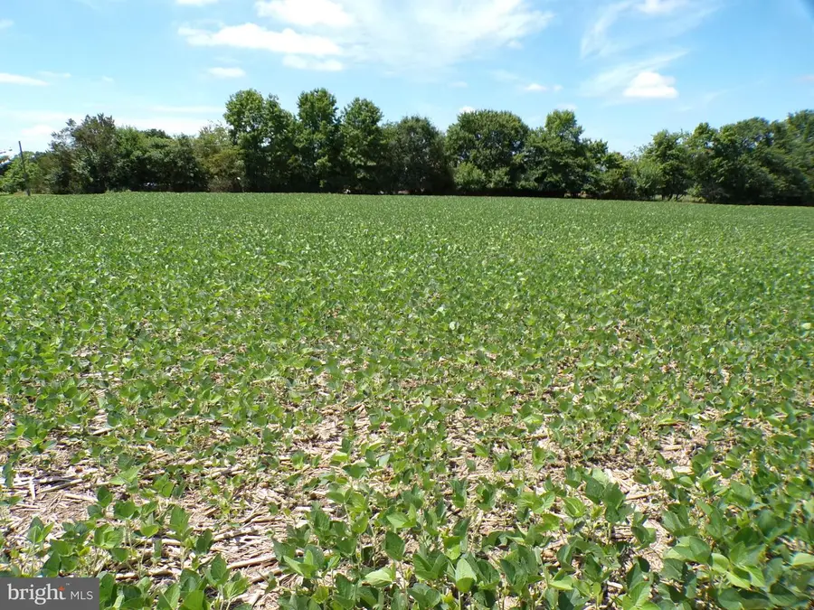 Lot 2 Nine Foot Rd, Greenwood, DE 19950 - #2