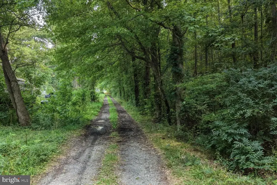 111 Thicket Rd, Camden Wyoming, DE 19934 - #2