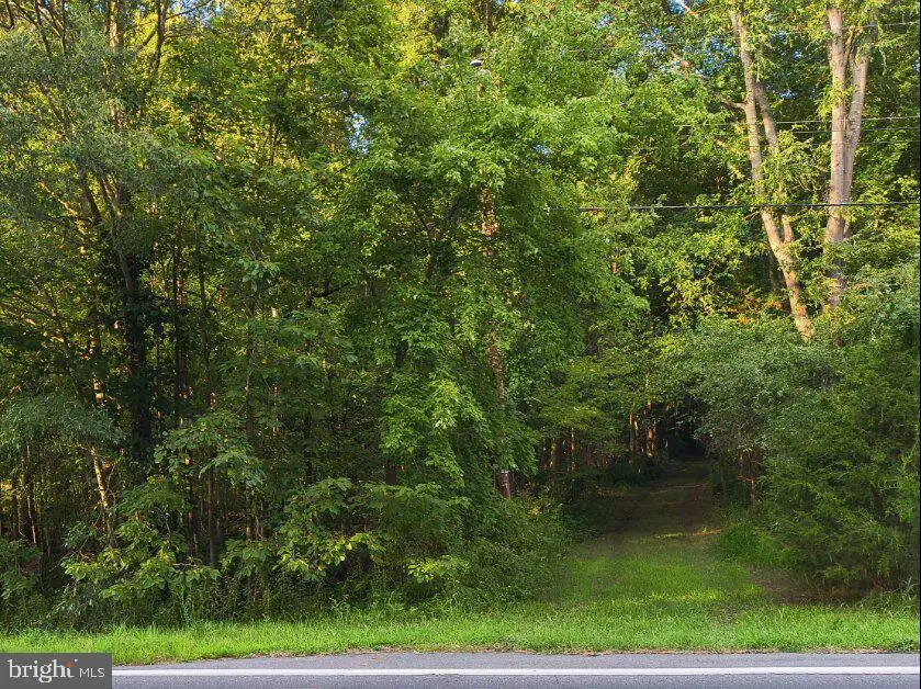 1359 Longridge Rd, Clayton, DE 19938 - #1