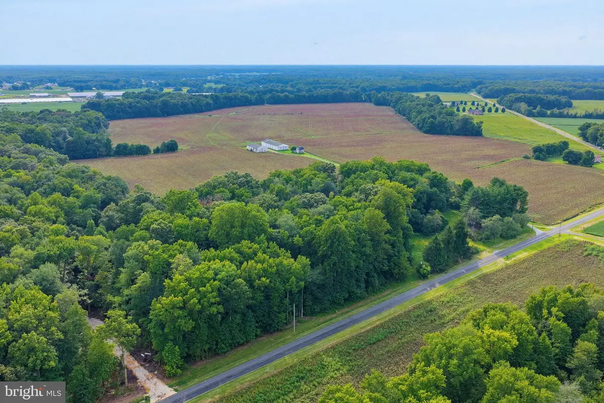 1494 Crystal Rd, Hartly, DE 19953 - #1