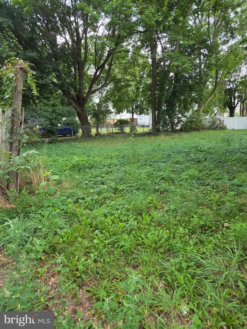133 Fisher St S, Smyrna, DE 19977 - #3