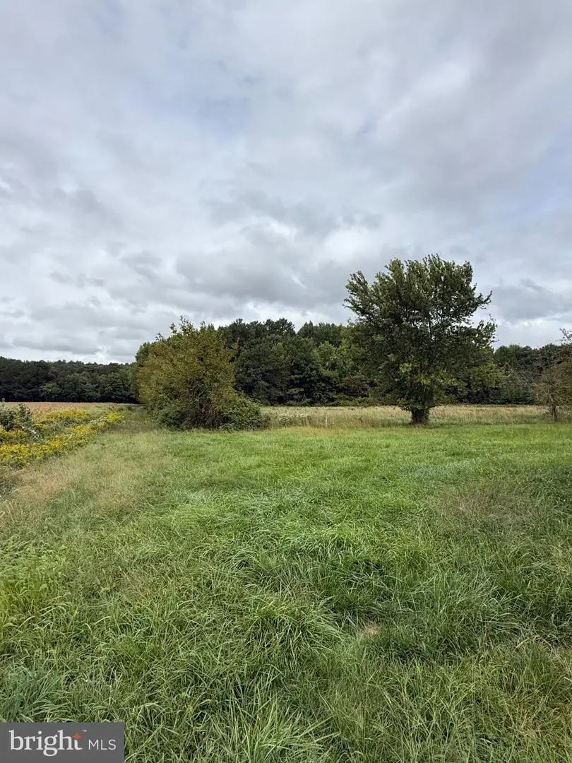 4111 Willow Grove Rd, Camden Wyoming, DE 19934 - #1