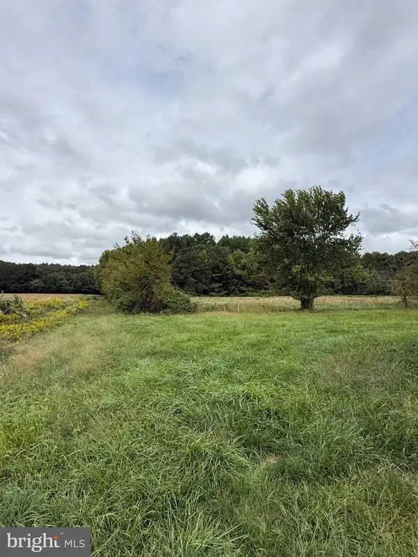 4111 Willow Grove Rd, CAMDEN WYOMING, DE 19934