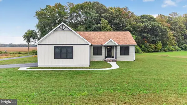 1010 Blairs Pond Rd, HOUSTON, DE 19954