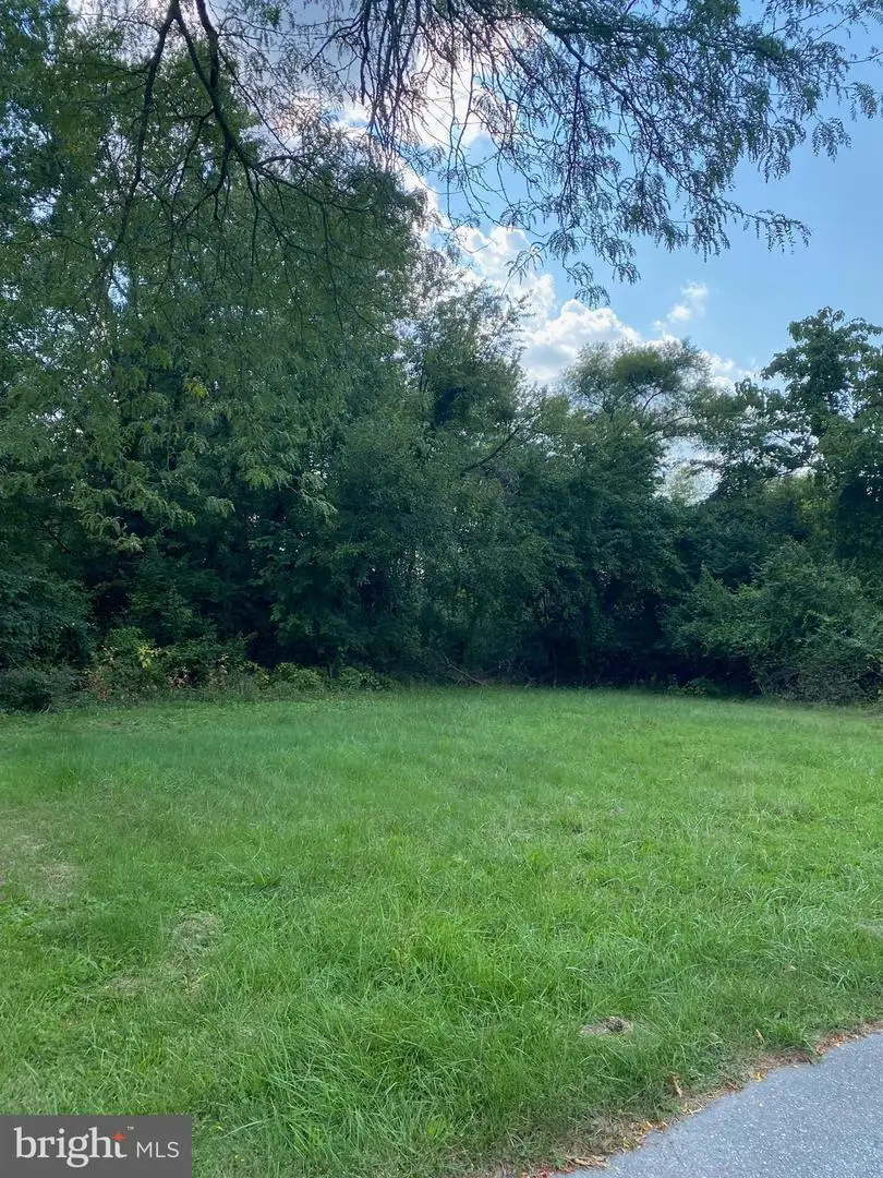 0 Chestnut St, New Castle, DE 19720 - Image #3