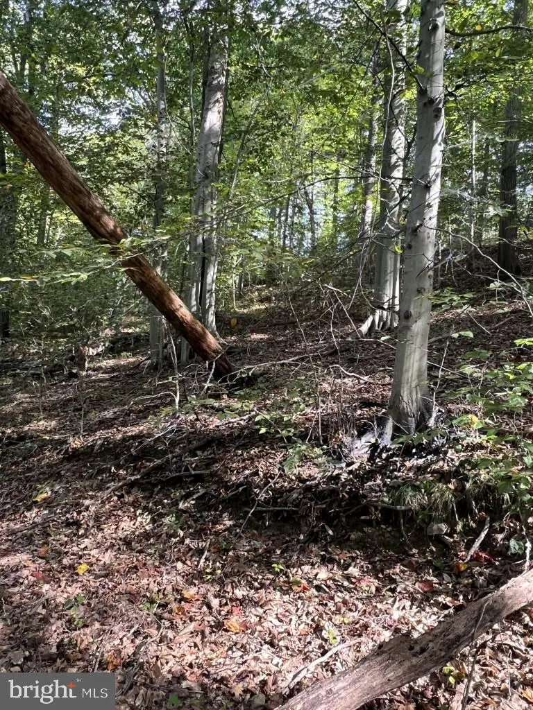 1 Laurel Ridge Ln, Piedmont, DE 19807 - Image #3