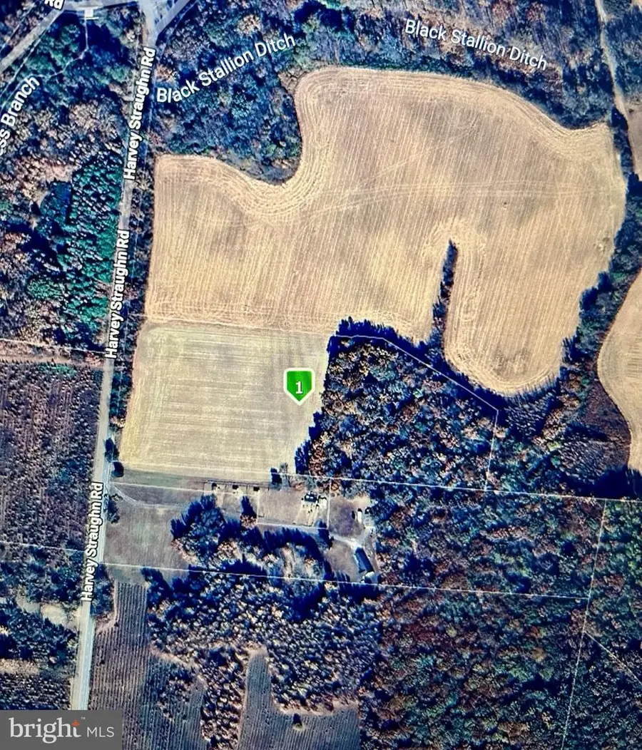 2045 Harvey Straughn Rd, Townsend, DE 19734 - Image #2