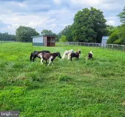 679 Oak Hill School Rd, Townsend, DE 19734 - Image #2