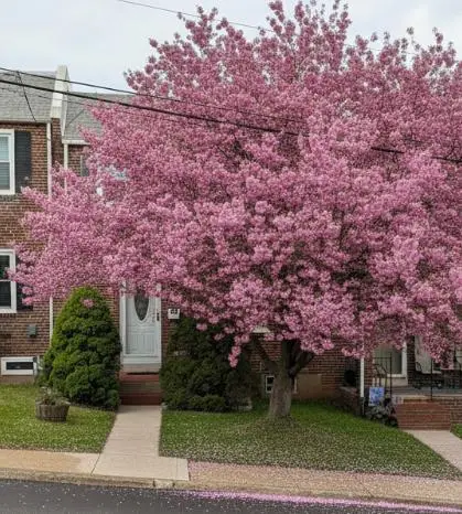 1407 Beech St, Wilmington, DE 19805 - #1