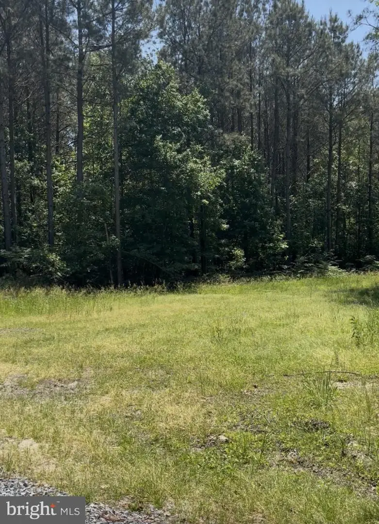 Dogwood Ln, Georgetown, DE 19947 - #3