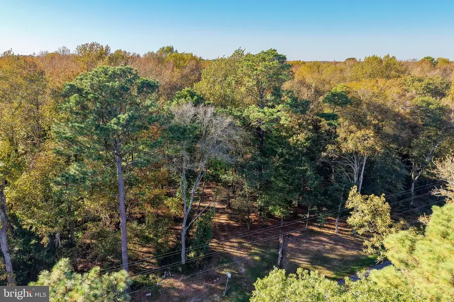 22240 Good Flocking Way, Frankford, DE 19945 - Image #2