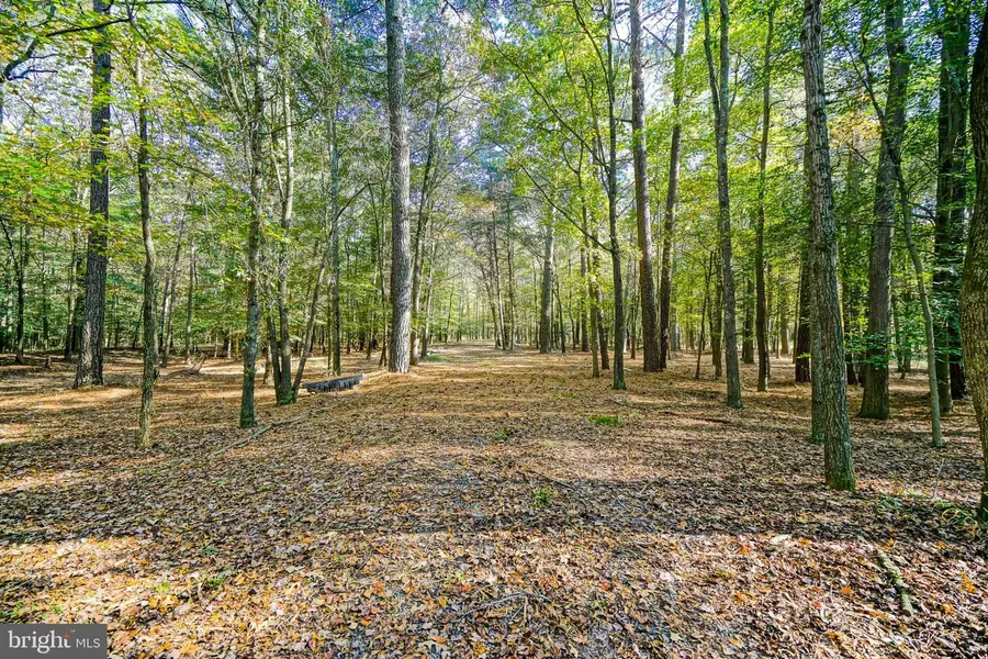 22240 Good Flocking Way, Frankford, DE 19945 - Image #3