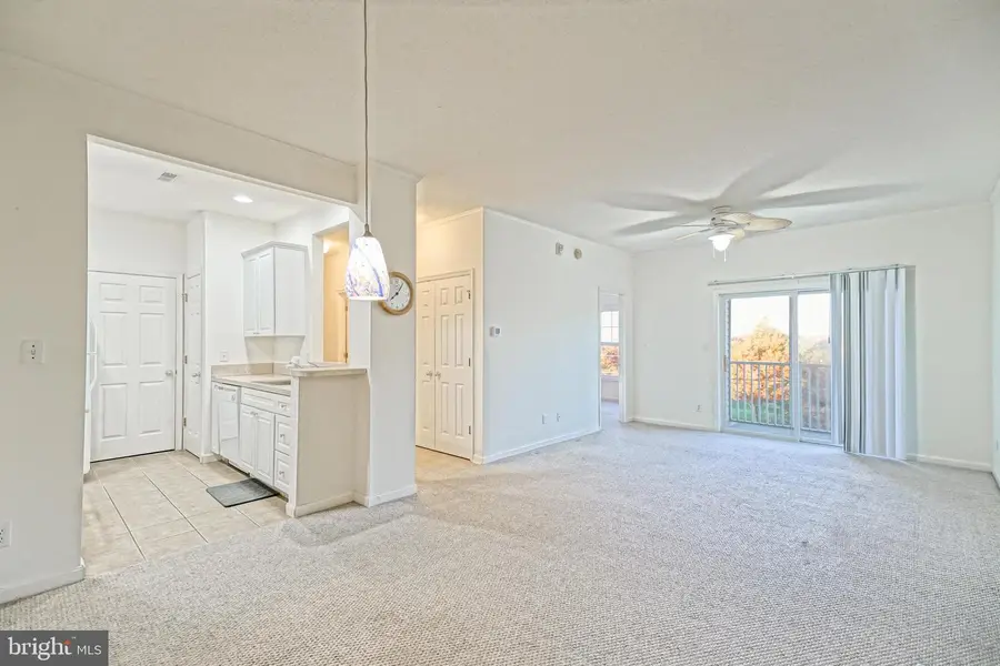 17063 S Brandt St #4303, Lewes, DE 19958 - Image #2