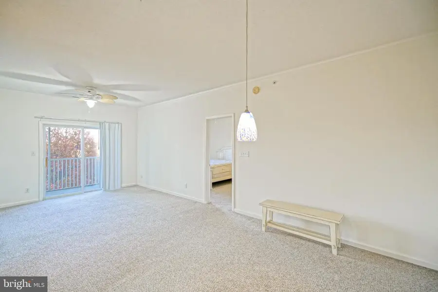 17063 S Brandt St #4303, Lewes, DE 19958 - Image #3