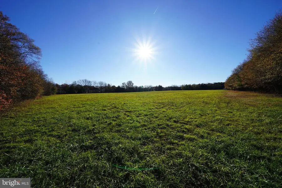 0 Lynch Lane, Georgetown, DE 19947 - Image #3