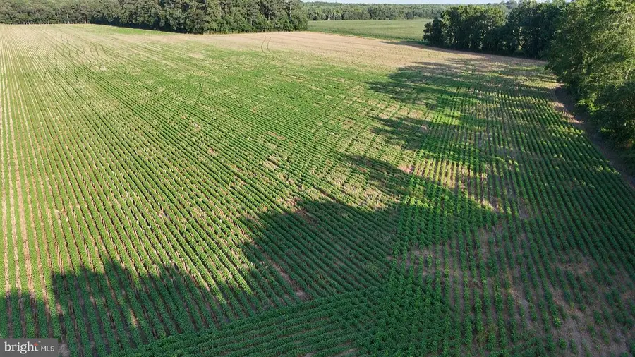 1.62 Acres Russell, Bridgeville, DE 19933 - Image #2