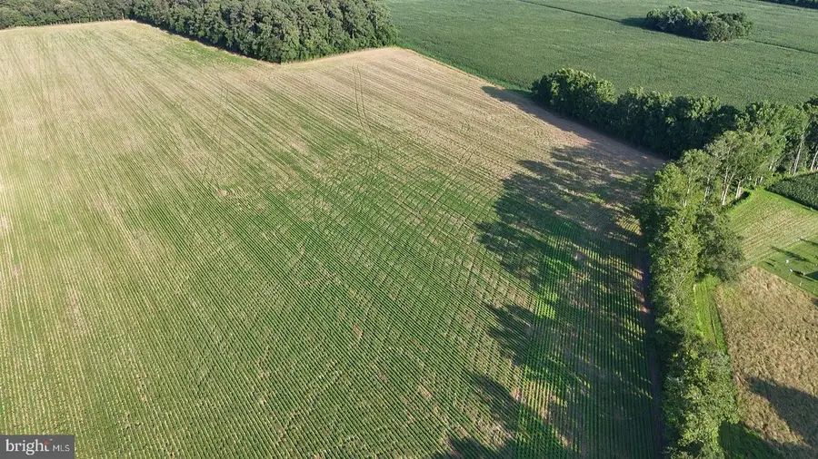 1.62 Acres Russell, Bridgeville, DE 19933 - Image #3