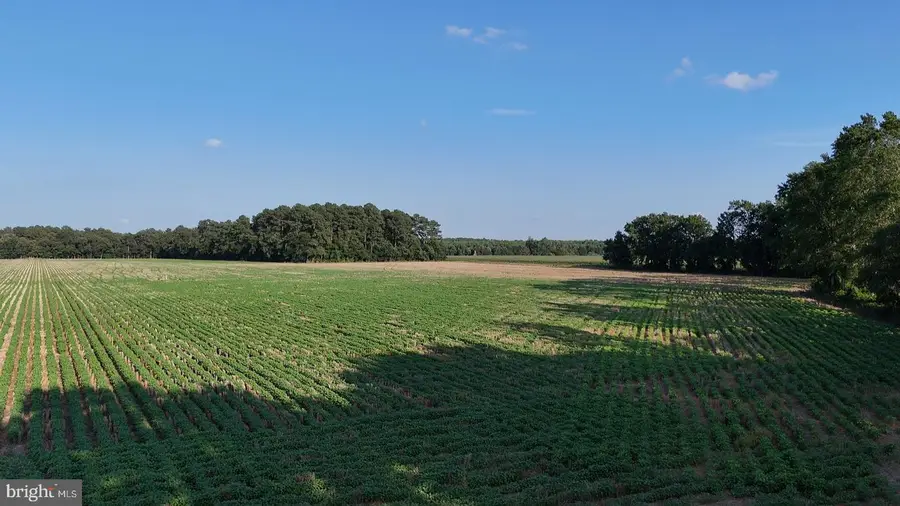 Parcel C Russell, Bridgeville, DE 19933 - Image #2