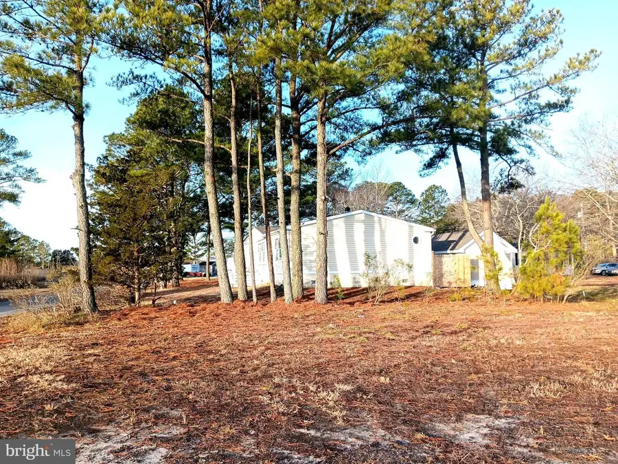 35397 Apple St #49970, Millsboro, DE 19966 - #2