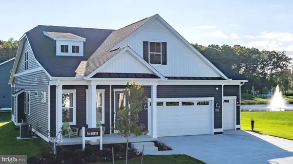 Tbb Pitch Pine Ct #palmetto, LEWES, DE 19958