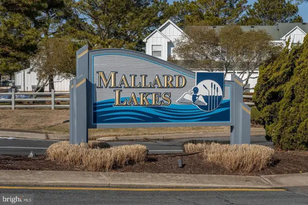 37781 Heron Ln #434, SELBYVILLE, DE 19975